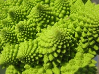 Romanesco Broccoli is my favorite vegetable!