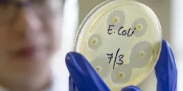 New E. coli strain will accelerate evolution of the genes of your choice