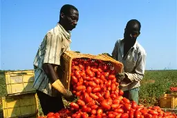 Combattere il capolarato e guardare alle condizioni della forza lavoro