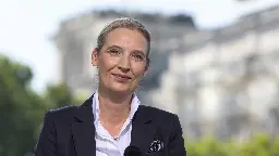 Weidel im ARD-Sommerinterview: "Diese Regierung handelt idiotisch"