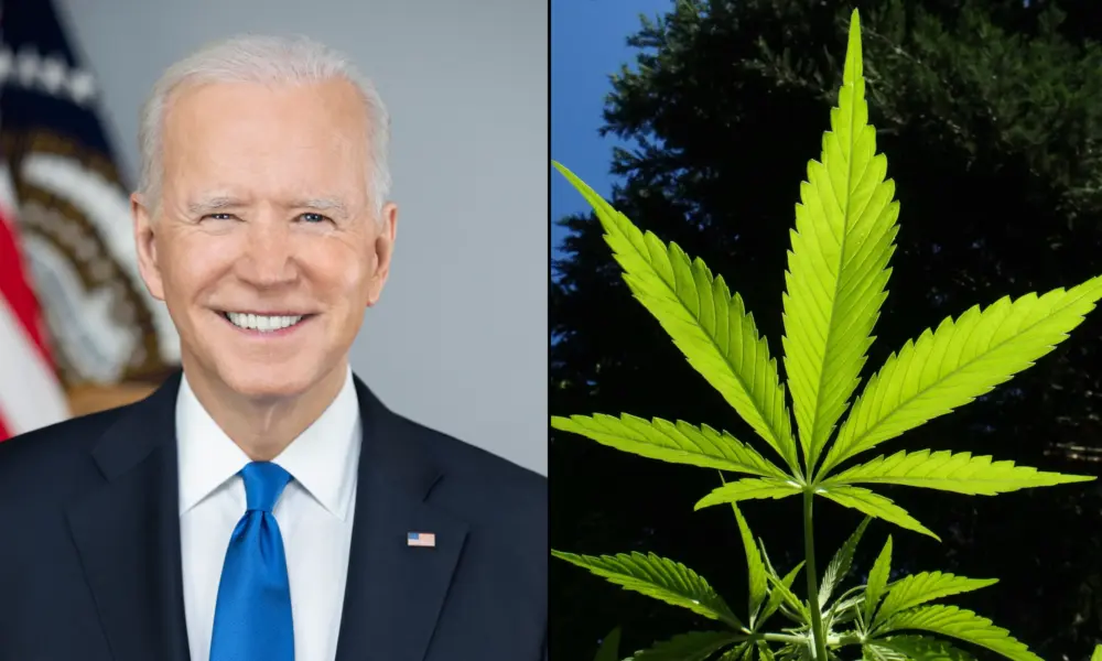 Biden Should Expand Marijuana Pardons And Issue New Cannabis Prosecution Memo Before His Term Ends, Lawmakers Say - Marijuana Moment