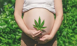 Prenatal cannabis exposure has unexpected effects on infant language