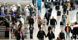 U.S. screens record 2.95 million airline passengers in single day