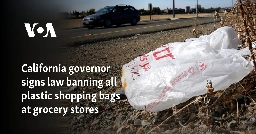 California governor signs law banning all plastic shopping bags at grocery stores