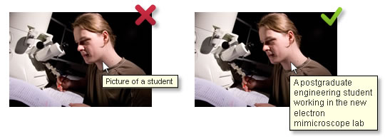 a comparison picture showing a red X above the description "picture of a student and a green check mark above the description "a postgraduate engineering student working in the new electron microscope lab"