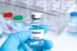 Confirmed rabies diagnosis on the Cape Peninsula