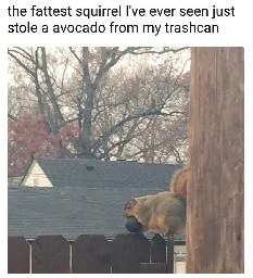 the background blur