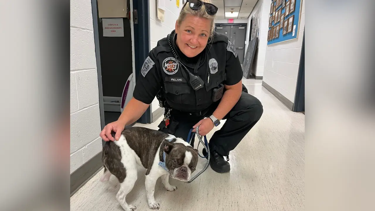 Dog abandoned at Pittsburgh airport after owner learns it needs crate to fly