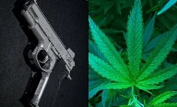 Pennsylvania Prosecutor Who Uses Medical Marijuana Asks Federal Court To Hear His Case On Gun Rights - Marijuana Moment