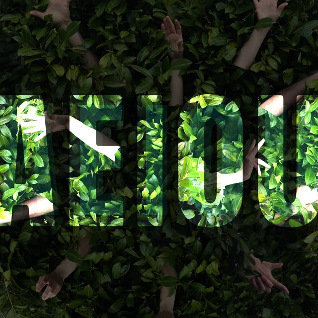 AEIOU