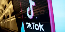 TikTok pushed far-right AfD party on young voters in Germany