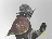 knight_alva