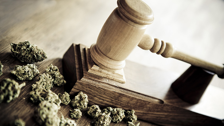 35 Years Ago DEA Judge Ruled Cannabis Should Be Reclassified Under ...