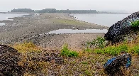 At low tide you can walk across the sandbar from Squantum to Thompson Island