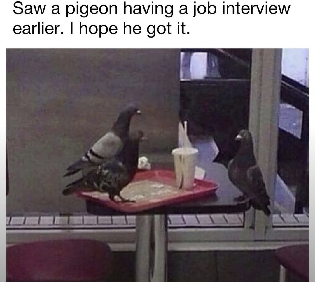 Job interview