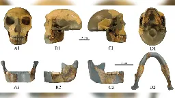 300,000-year-old skull found in China unlike any early human seen before | CNN