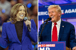 Kamala Harris takes 7-point lead over Donald Trump in new national poll