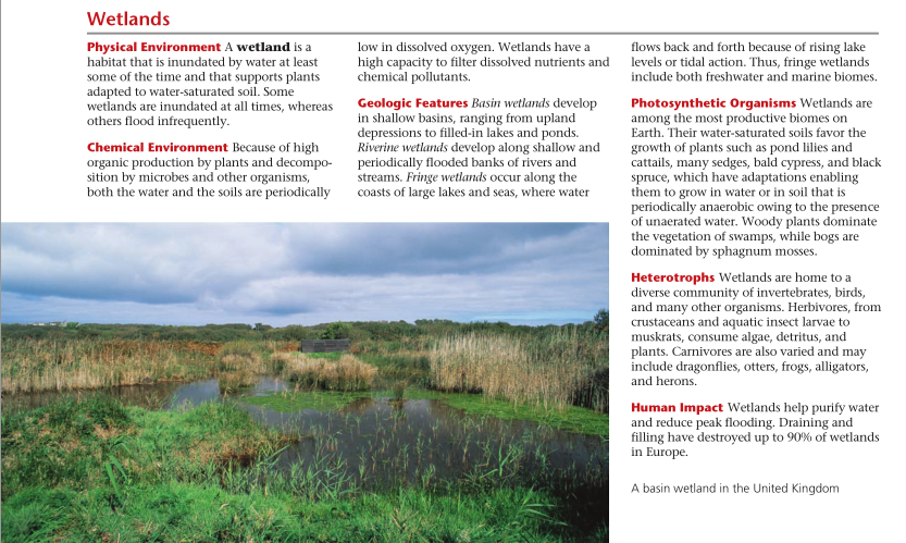 a very quick overview of wetlands