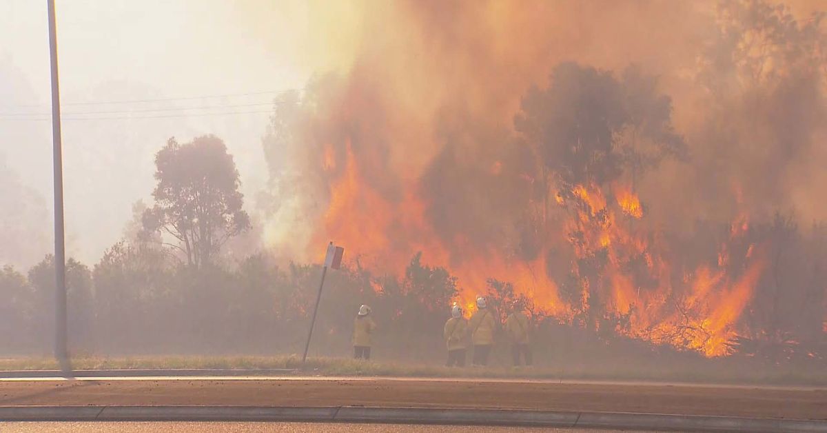 Bushfire downgraded but out of control in NSW Hunter Valley