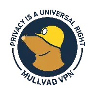 MullvadVPN removed support for port forwarding