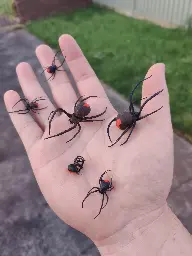 Designed these spiders for halloween!