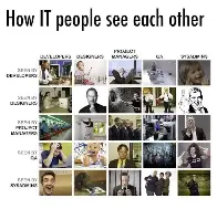 How IT People See Each Other