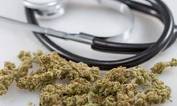 Cannabis Is More Effective In Treating Musculoskeletal Pain Than Traditional Medications Are, Patients Say In New Study - Marijuana Moment