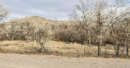 2-year-old Nevada boy dies from brain-eating amoeba after visit to hot spring