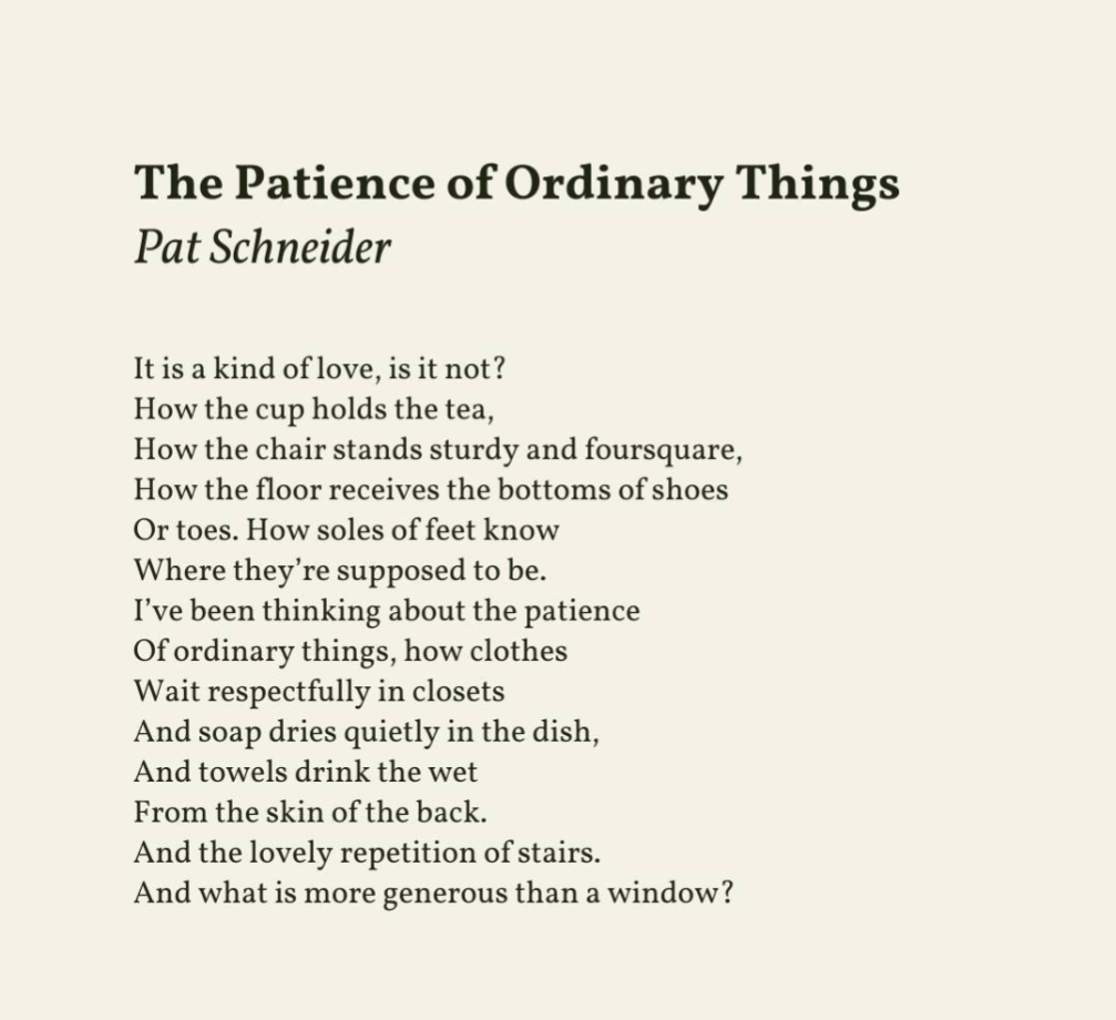 Pat Schneider, "The Patience of Ordinary Things".