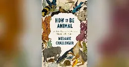 The Loveliness of Being Animal: Philosopher Melanie Challenger on her book ”How to be Animal” | In Tune to Nature Podcast