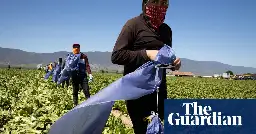 ‘Mass deportations would disrupt the food chain’: Californians warn of ripple effect of Trump threat