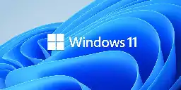 The Windows 11 problem