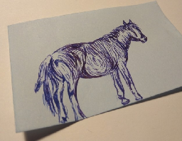 horse