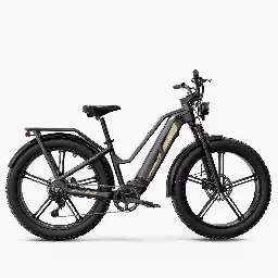 Fiido Titan Robust Cargo Electric Bike