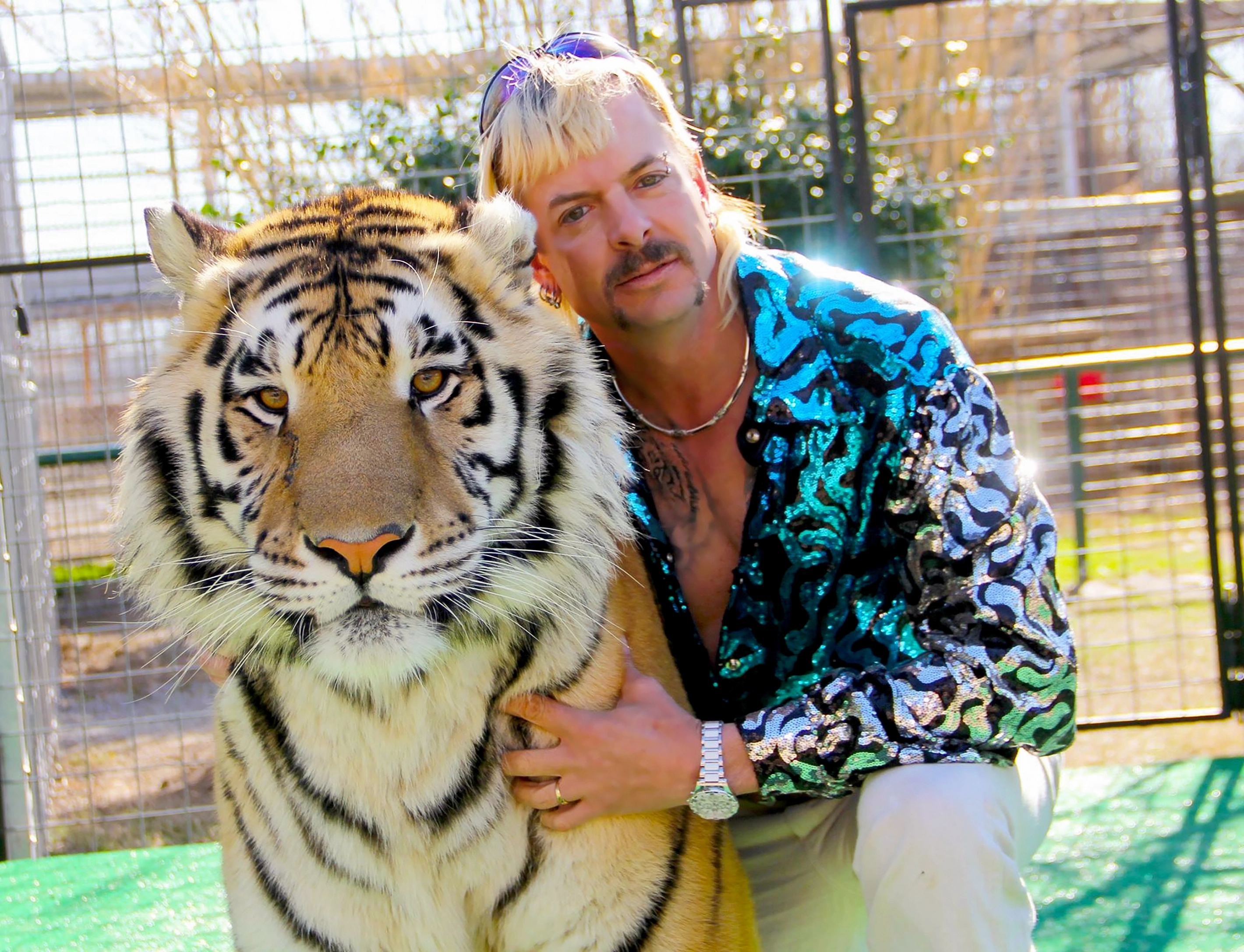 'Tiger King' star Joe Exotic begs Donald Trump to pardon him