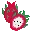 dragonfruit