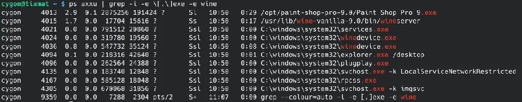 Processes running after launching a Windows executable via Wine