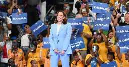 DNC virtual roll call vote ends with Kamala Harris receiving 99% of delegate votes. Here are the full results.