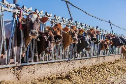 U.S. Meat Lobby Celebrates ‘Positive Outcome’ of COP28