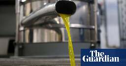 Police in Spain and Italy seize 5,000 litres of adulterated olive oil in raids