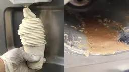 New Fear Unlocked: Thousands Of Maggots Discovered Living Inside An Ice Cream Machine!