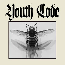 Anagnorisis, by Youth Code