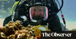 Scientists’ experiment is ‘beacon of hope’ for coral reefs on brink of global collapse