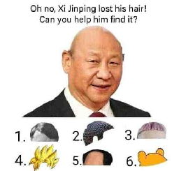 Help Xi Find His Hair! - Lemmy.world