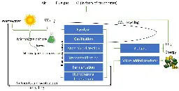 Frontiers | Overview of Carbon Capture Technology: Microalgal Biorefinery Concept and State-of-the-Art