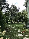 Rose arch/trellis from an old trampoline frame [Facebook link]