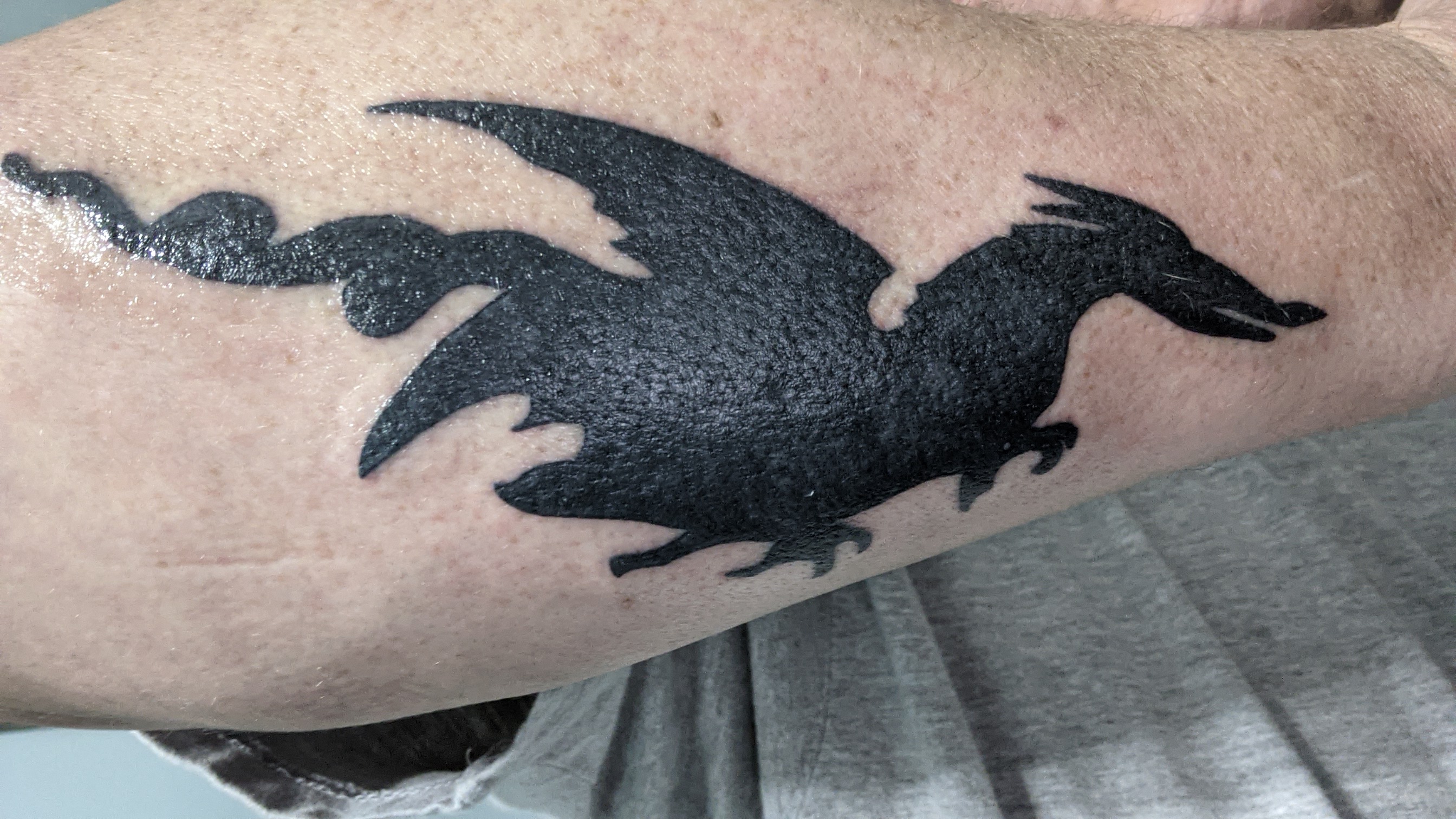 The officially unofficial logo of [US129 The Tail Of The Dragon.](https://www.youtube.com/watch?v=K16YnmJN0fc)  Spencer Against All Odds Tattoo, Powell TN.