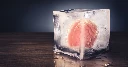 Frozen human brain tissue works perfectly when thawed 18 months later