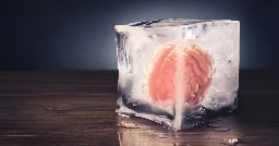 Frozen human brain tissue works perfectly when thawed 18 months later