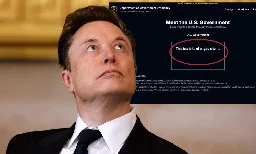 DOGE Website Hacked and Defaced — Internet Laughs at Musk: ‘These Experts Left Their Database Open’